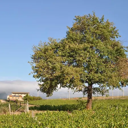 Le Pot De Vin *